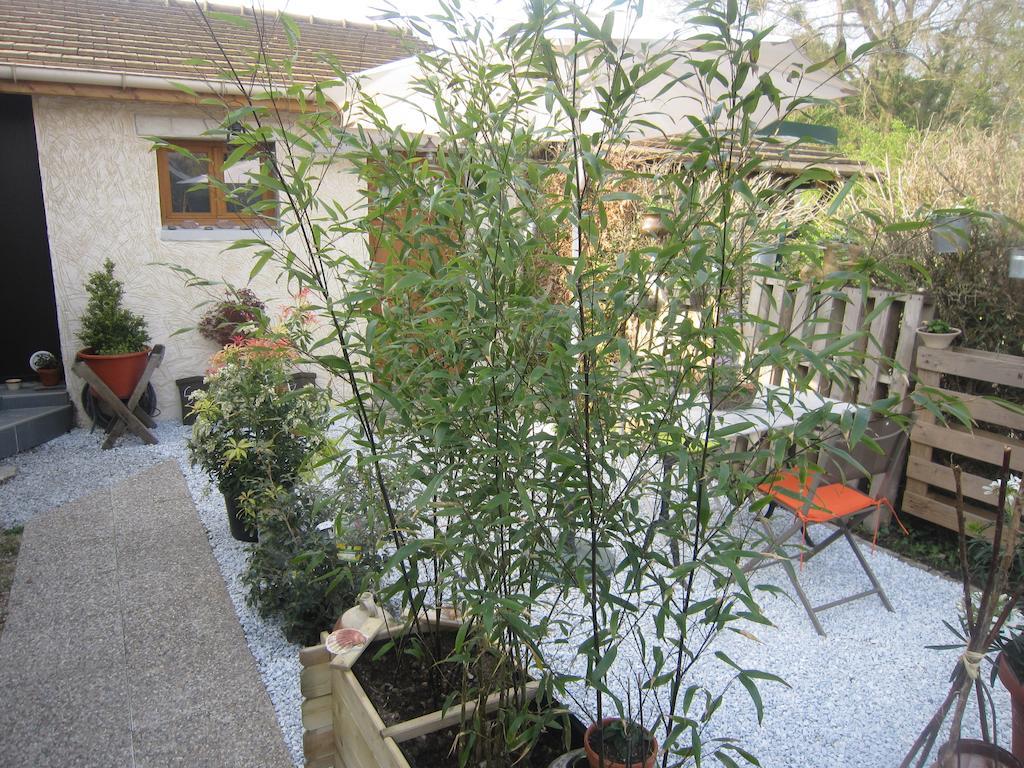 B&B 2 Zen détente Coye-la-Forêt Extérieur photo